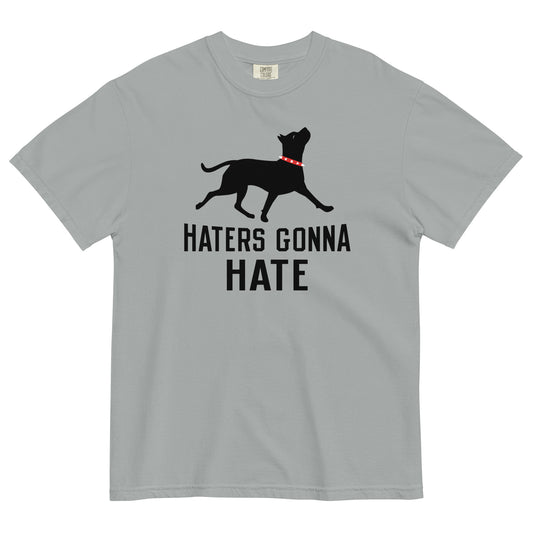 Haters Gonna Hate Pit Men's Relaxed Fit Tee