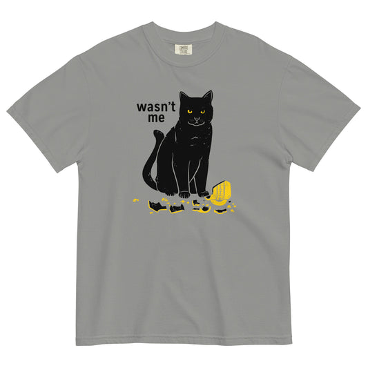 Wasn't Me Men's Relaxed Fit Tee