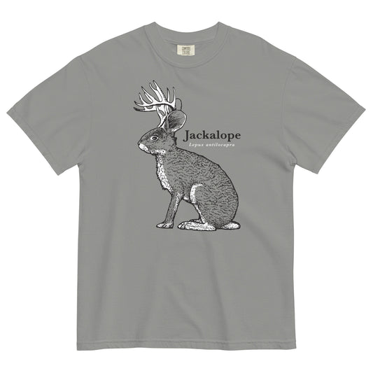 Jackalope Men's Relaxed Fit Tee
