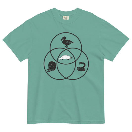 Platypus Venn Diagram Men's Relaxed Fit Tee