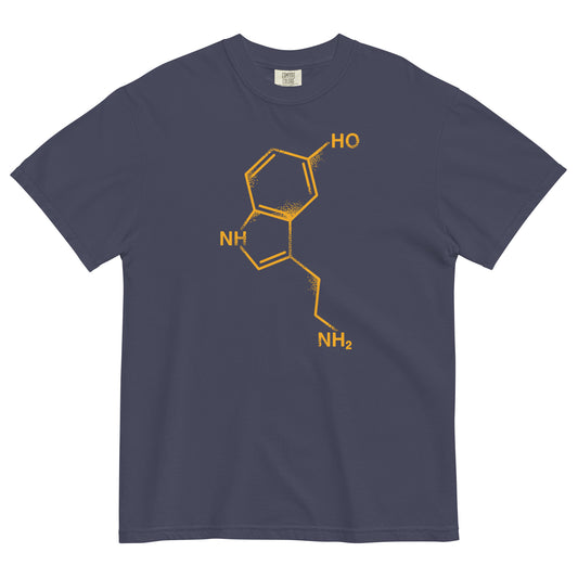 Serotonin Men's Relaxed Fit Tee
