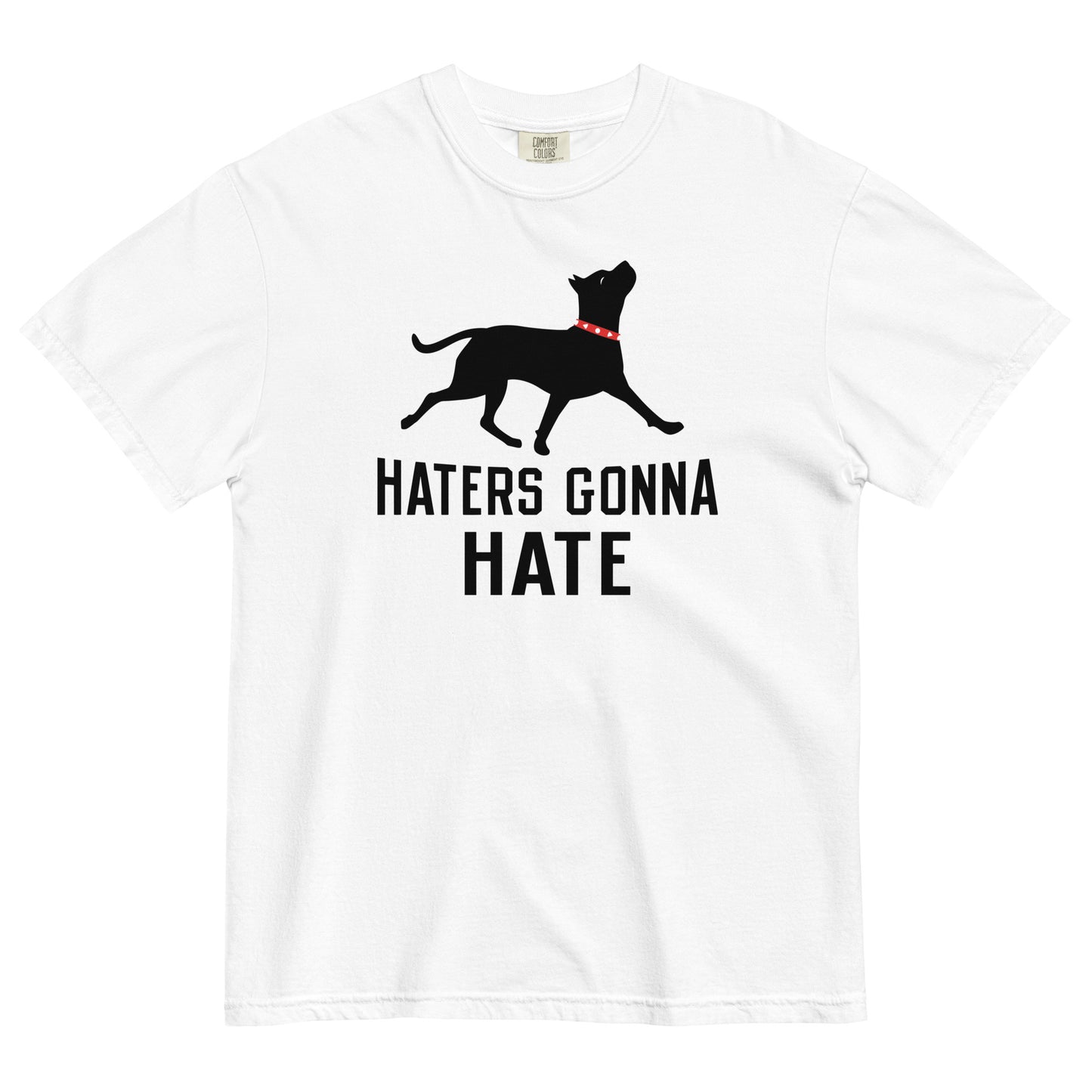 Haters Gonna Hate Pit Men's Relaxed Fit Tee