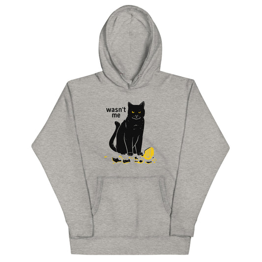Wasn't Me Unisex Hoodie
