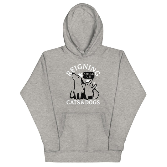 Reigning Cats And Dogs Unisex Hoodie