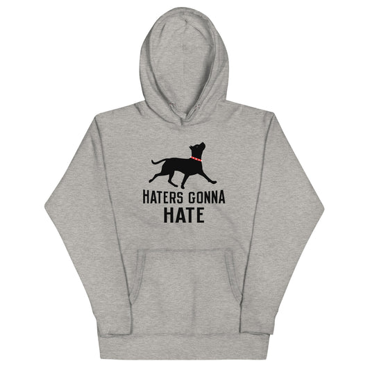 Haters Gonna Hate Pit Unisex Hoodie