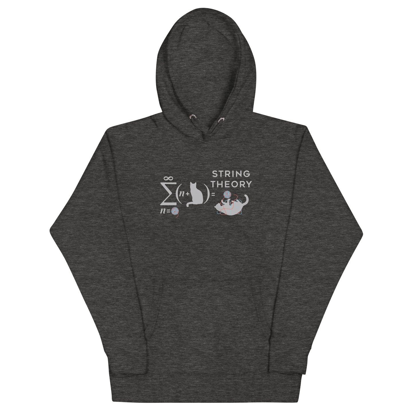 String Theory Unisex Hoodie