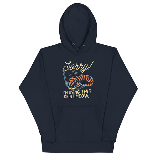 Sorry! I'm Using This Right Meow Unisex Hoodie
