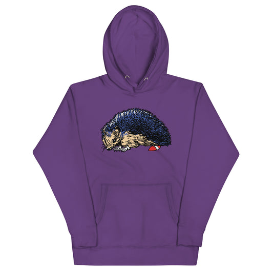 Gotta Go Fast Unisex Hoodie