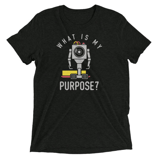 What Is My Purpose? Men's Tri-Blend Tee