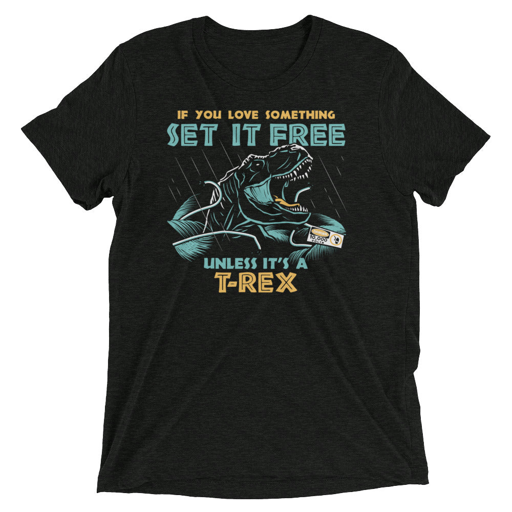If You Love Something Set It Free Men's Tri-Blend Tee
