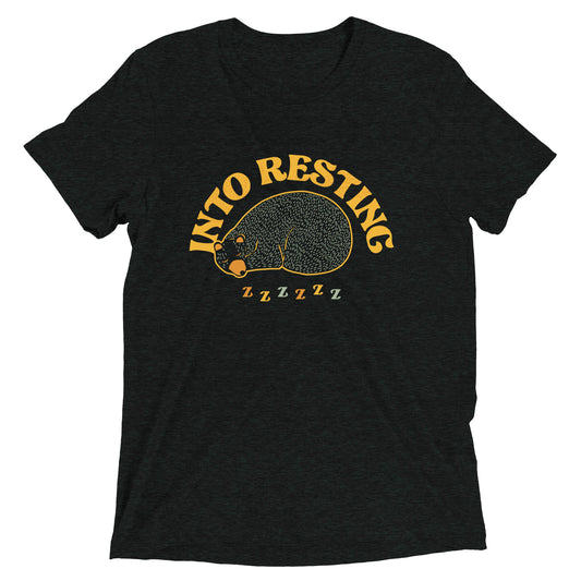 Into Resting Men's Tri-Blend Tee