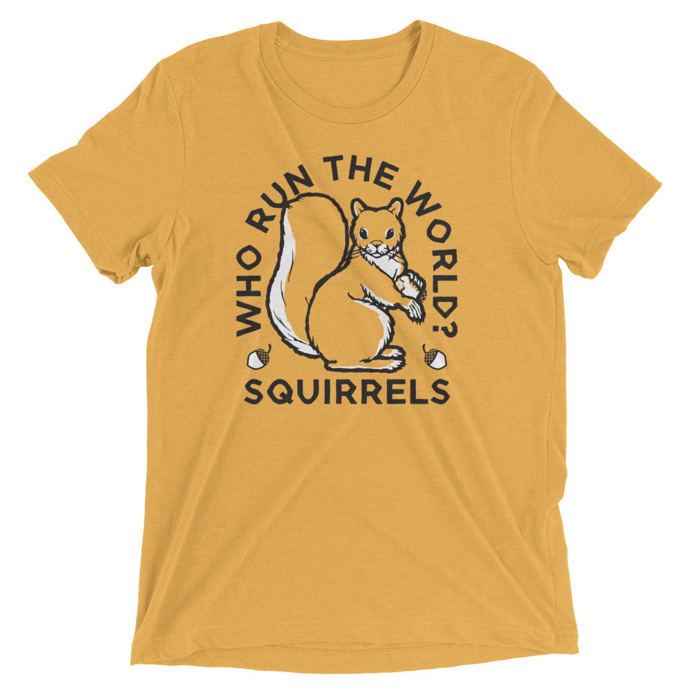 Who Run The World? Squirrels Men's Tri-Blend Tee