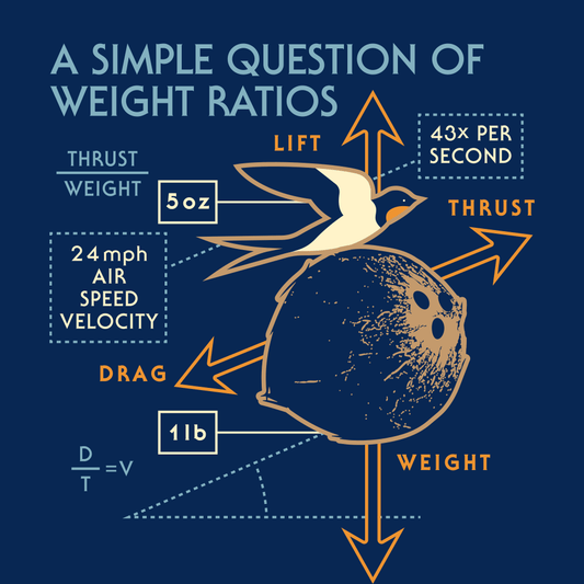 A Simple Question Of Weight Ratios