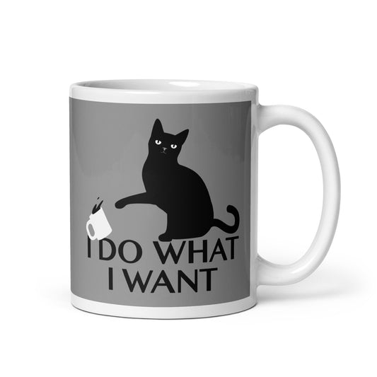 I Do What I Want Mug