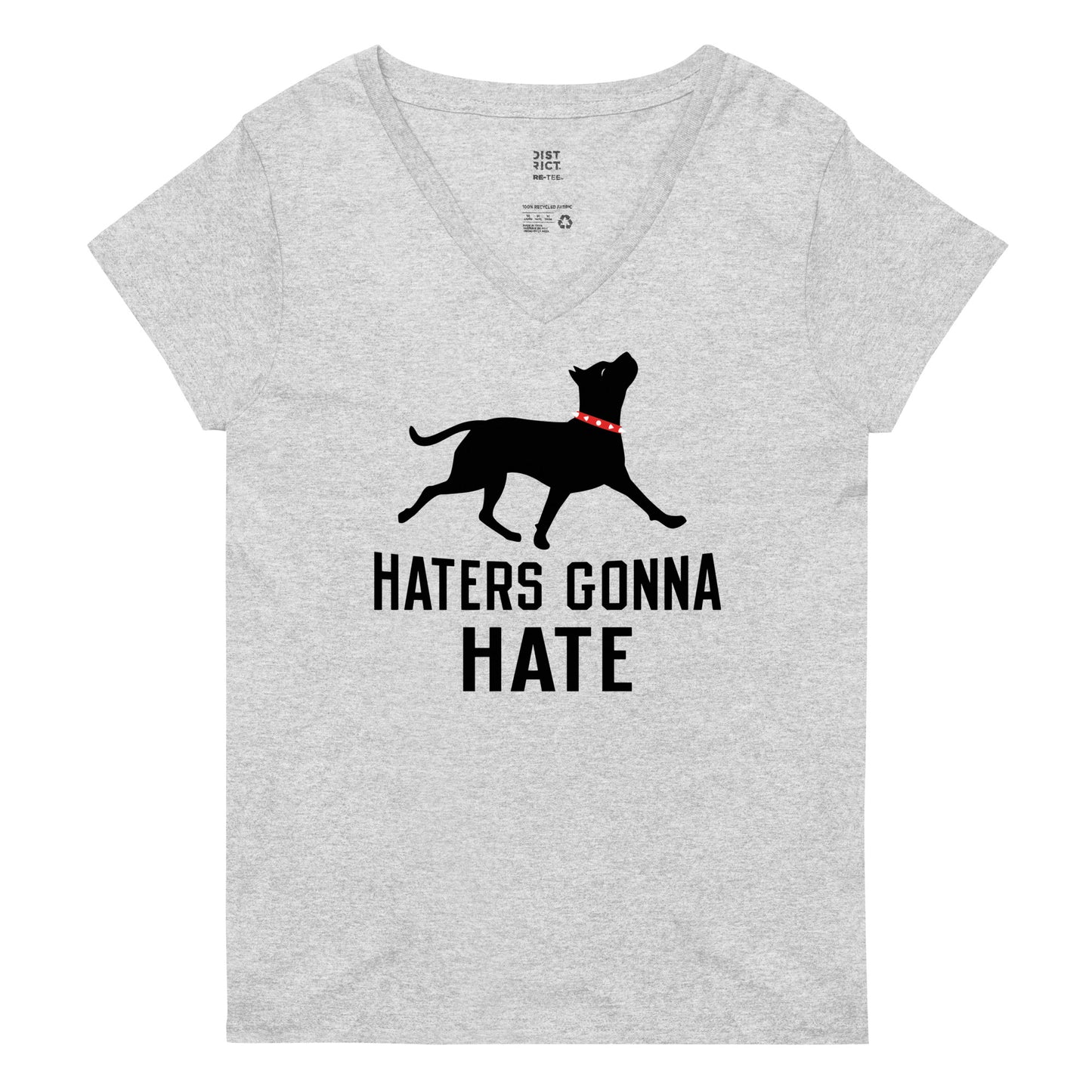 Haters Gonna Hate Pit Women's V-Neck Tee