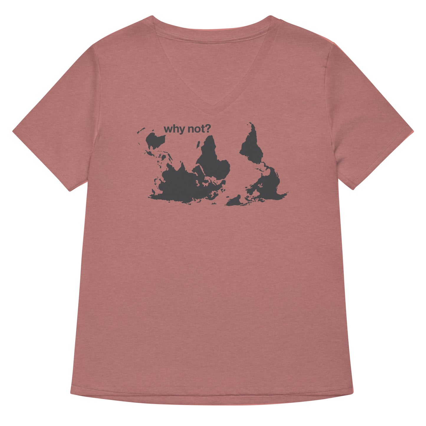 Why Not? Women's V-Neck Tee