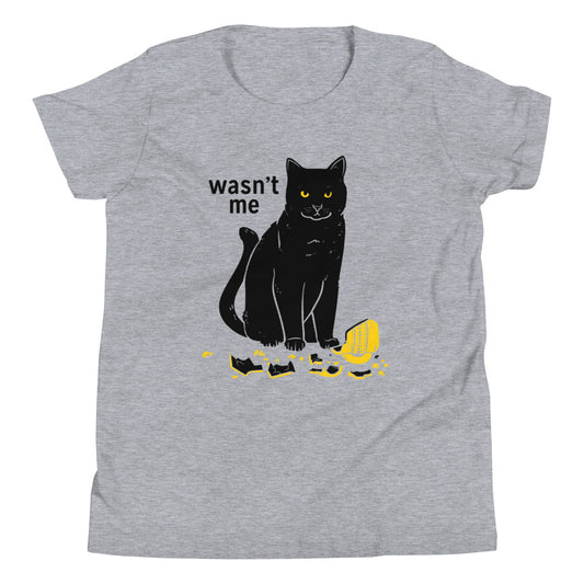 Wasn't Me Kid's Youth Tee