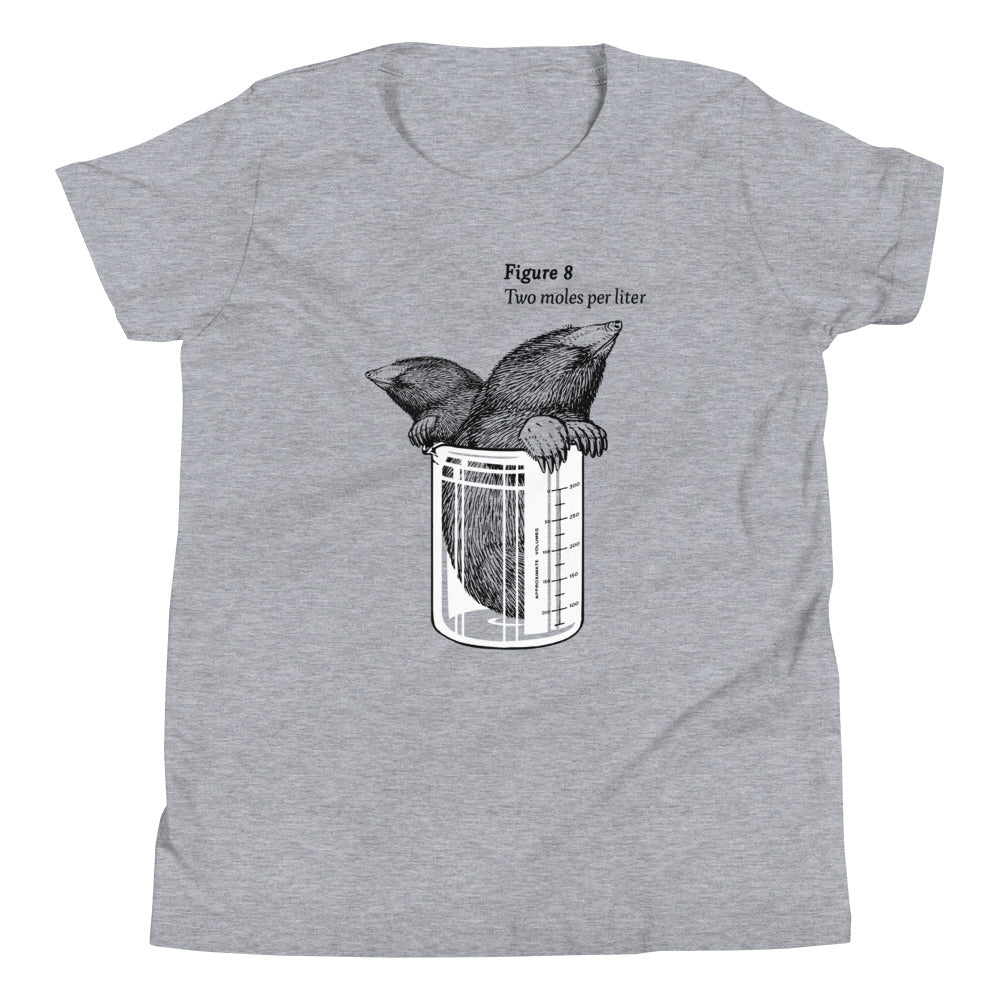 Two Moles Per Liter Kid's Youth Tee
