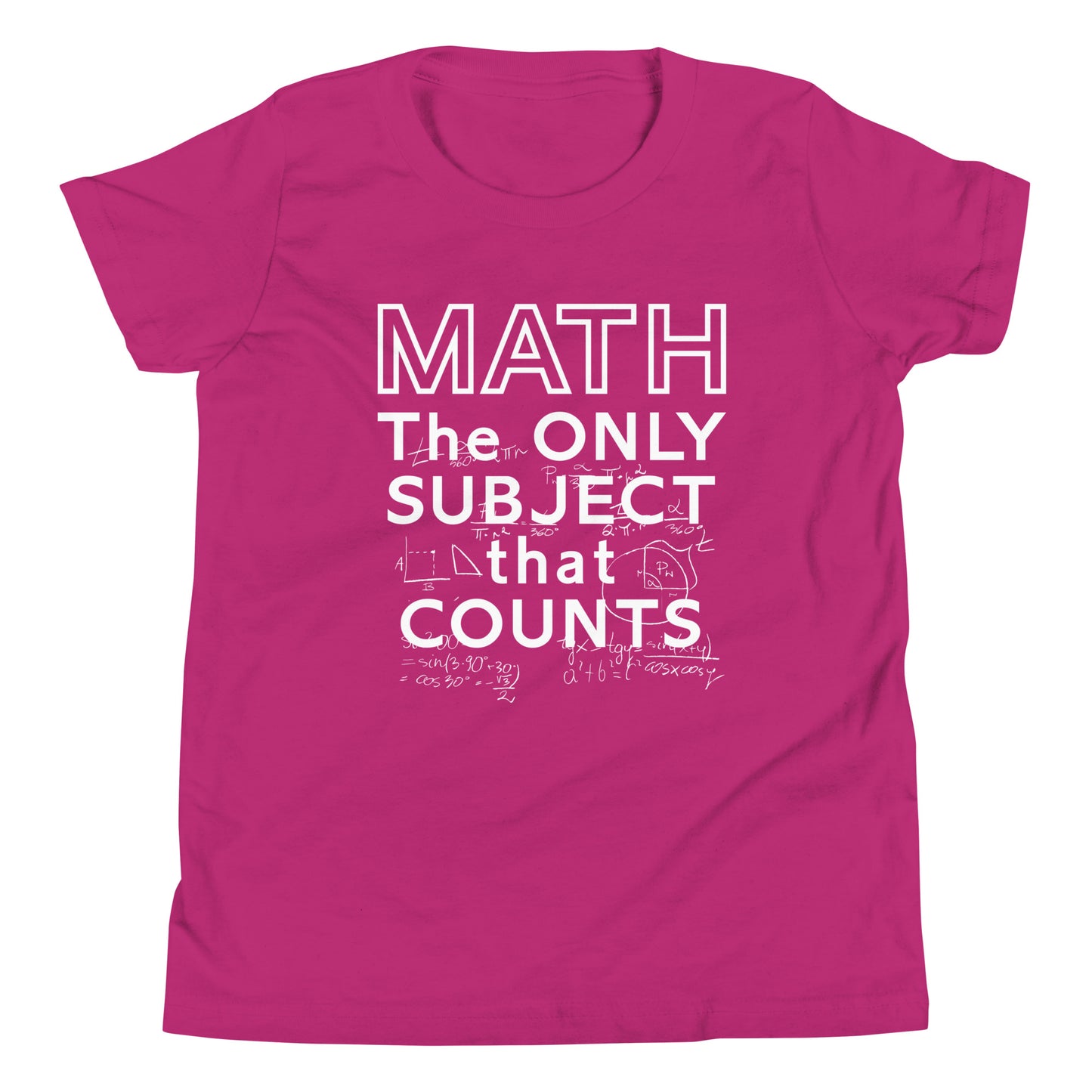 Math The Only Subject That Counts Kid's Youth Tee