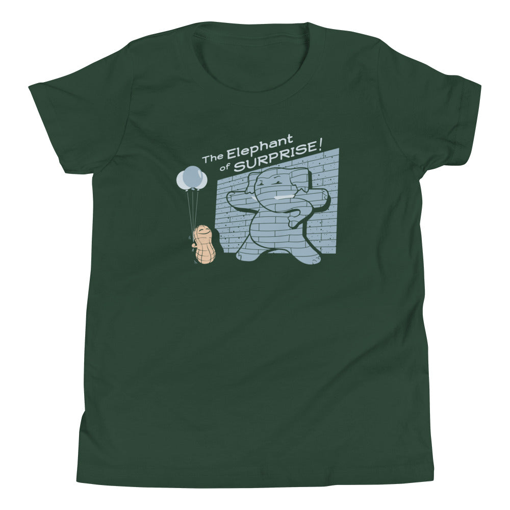 The Elephant of Surprise! Kid's Youth Tee